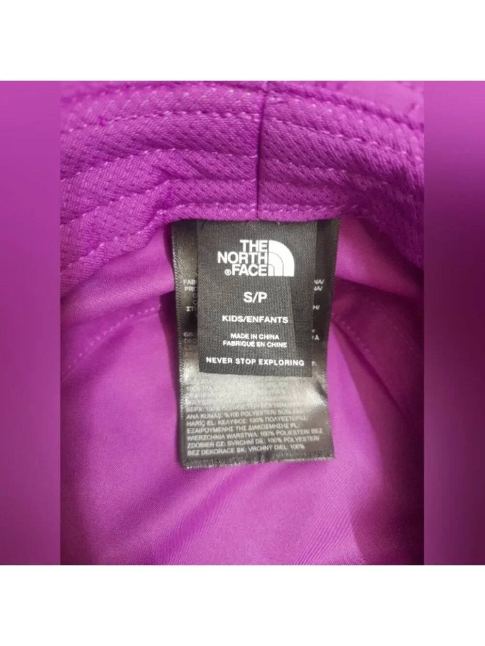 The North Face brand north
